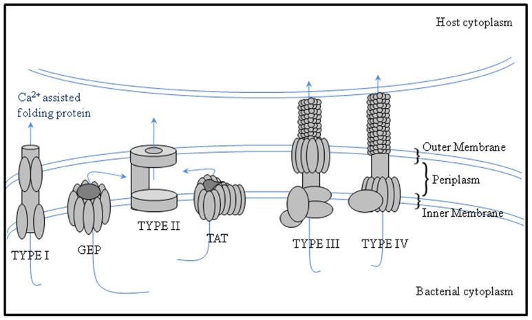 FIGURE 1