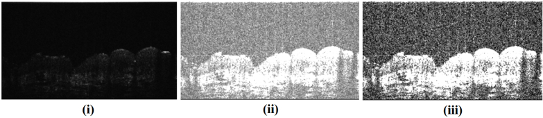 Fig. 6