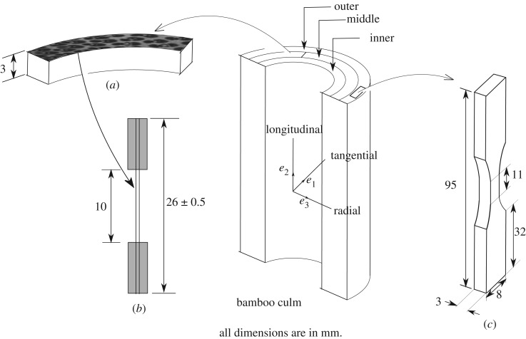 Figure 8.