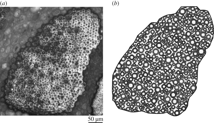 Figure 11.