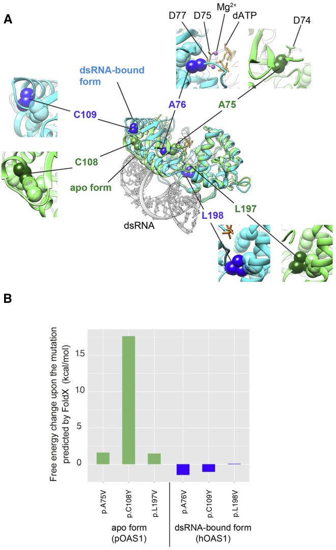 Figure 2