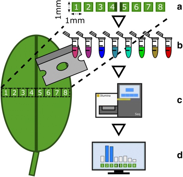 Fig. 1