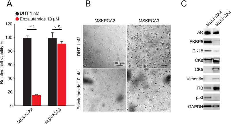 Figure 3: