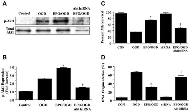 Fig. (5)