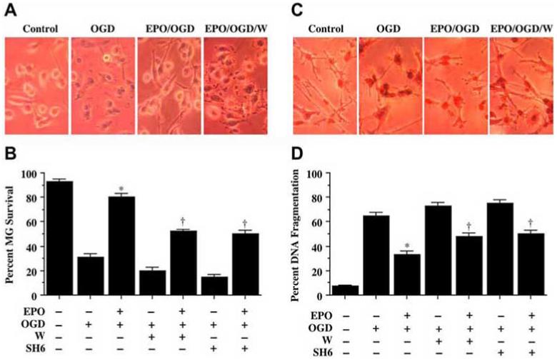 Fig. (4)