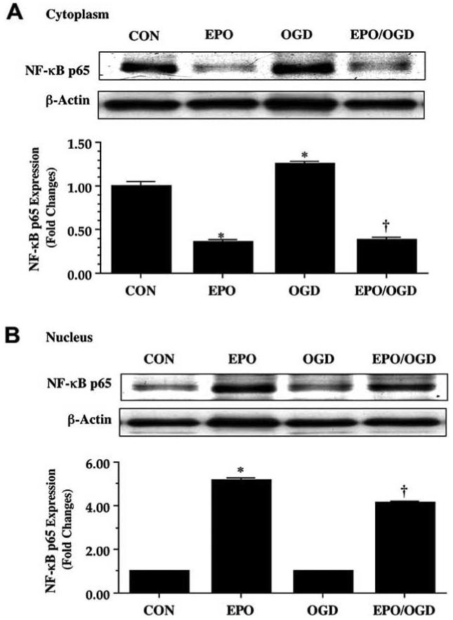 Fig. (10)