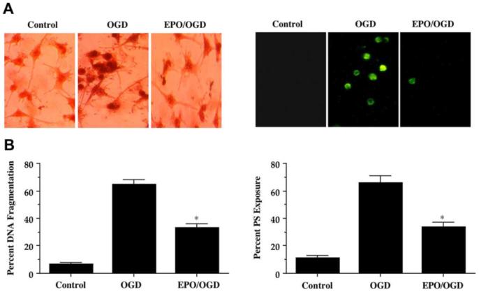 Fig. (2)