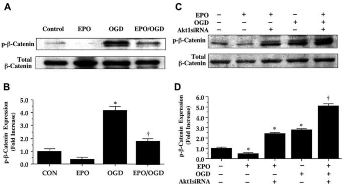 Fig. (8)