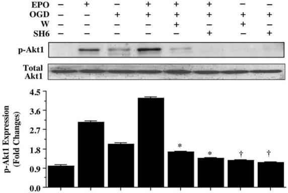 Fig. (3)