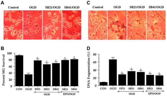 Fig. (7)