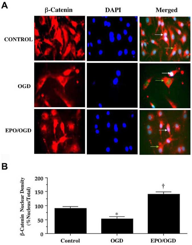 Fig. (9)