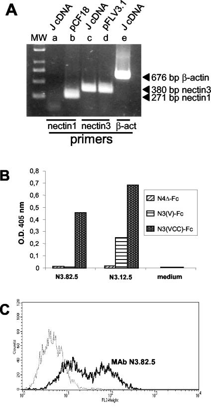 FIG. 3.