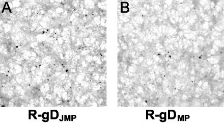 FIG. 8.