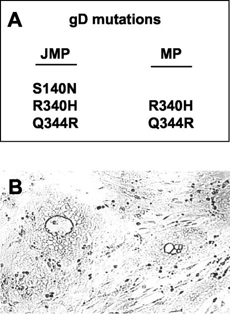 FIG. 7.