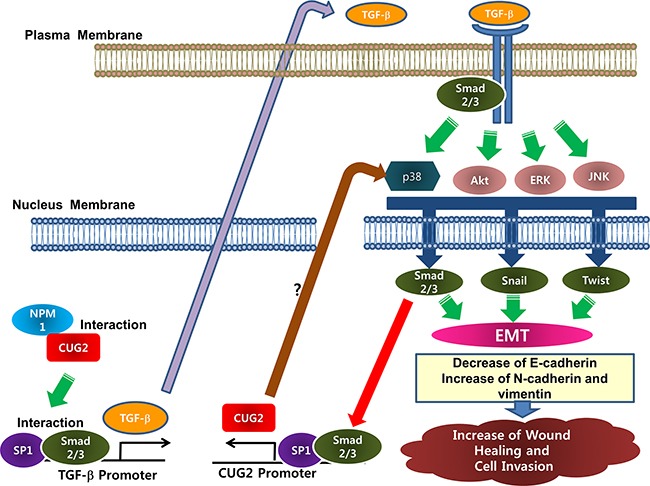 Figure 14