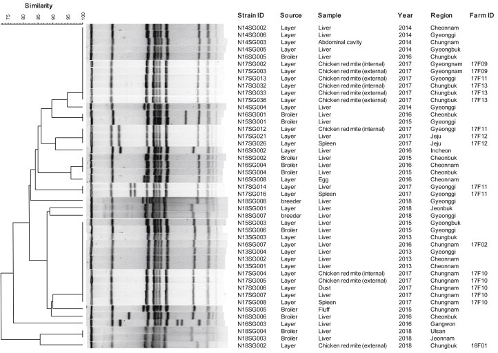 Figure 1