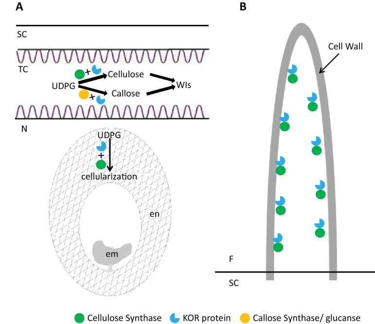 Fig. 9.