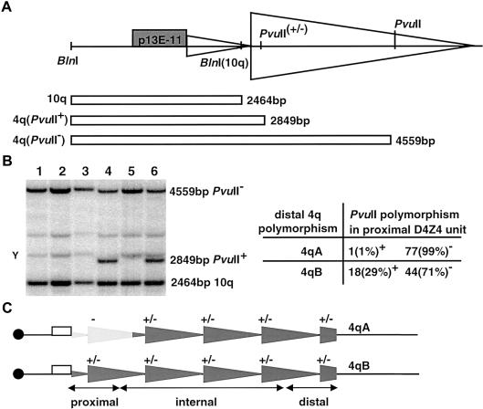 Figure  1