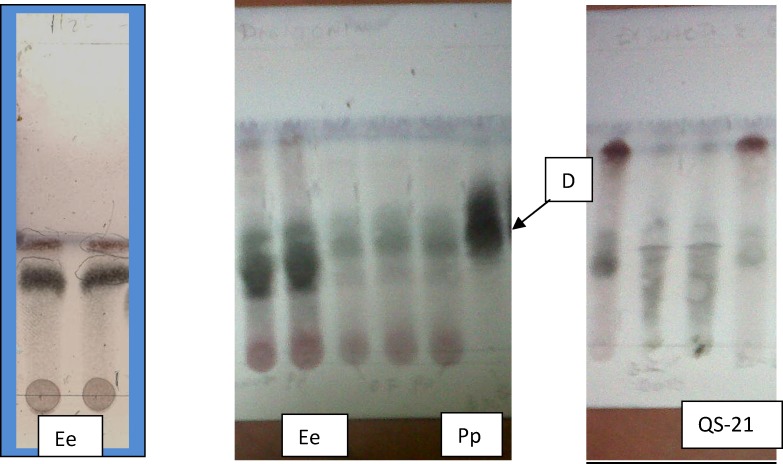 Figure 7a