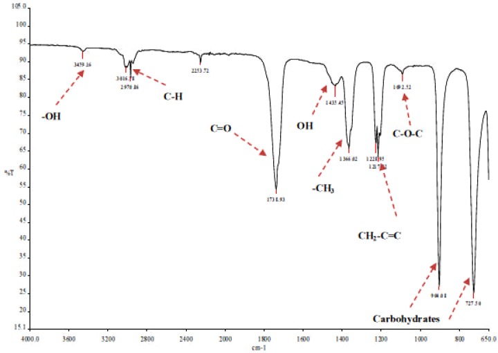 Figure 8b