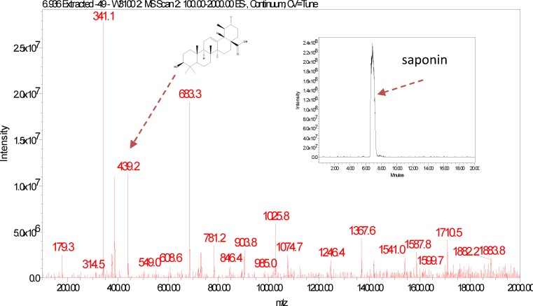 Figure 11