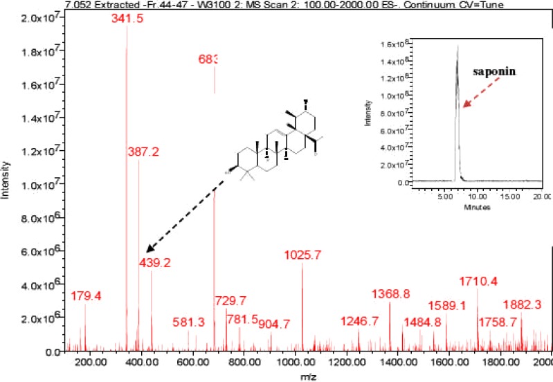 Figure 10(a)