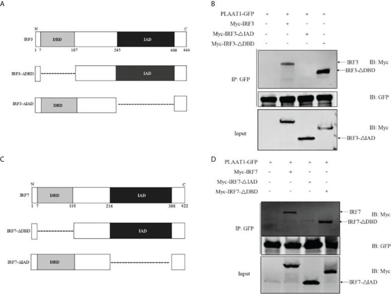 Figure 6