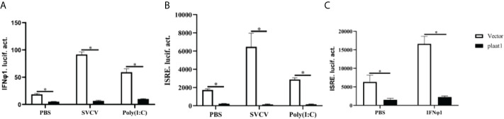 Figure 2