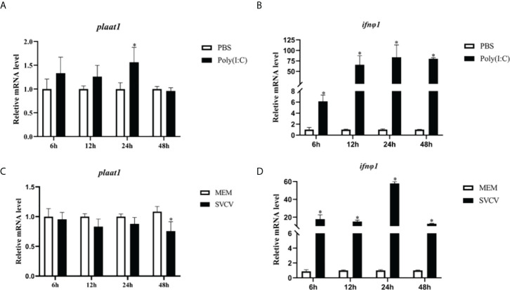 Figure 1