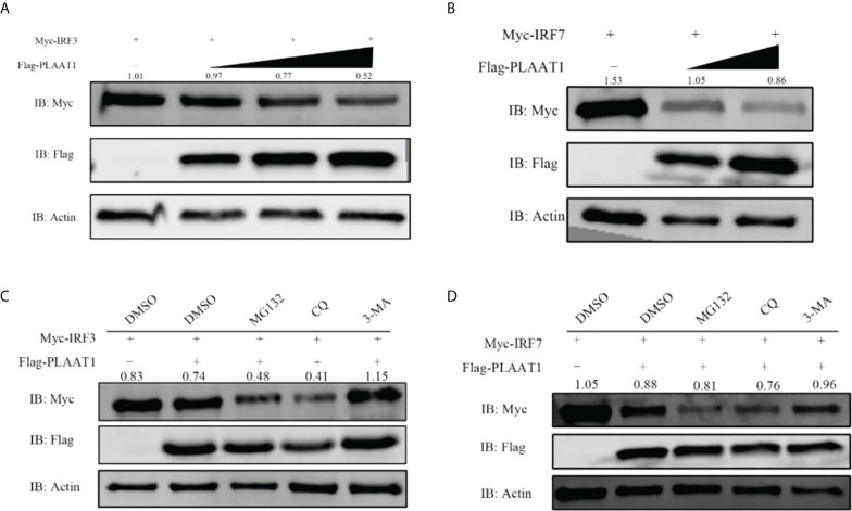 Figure 7