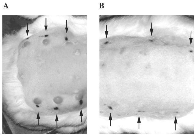 FIG. 5