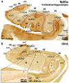 Fig. 9
