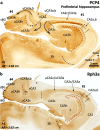 Fig. 11
