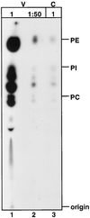 FIG. 6