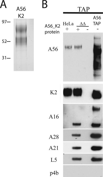 FIG. 6.