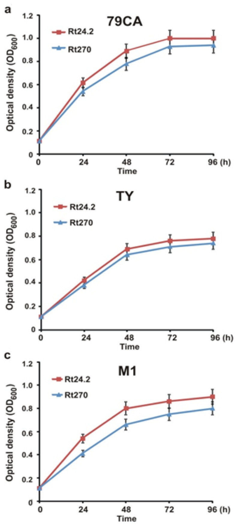 Figure 3.