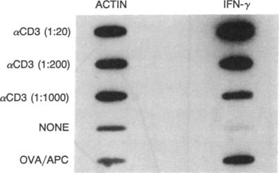 graphic file with name pnas01057-0134-a.jpg