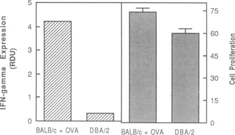 graphic file with name pnas01057-0135-a.jpg