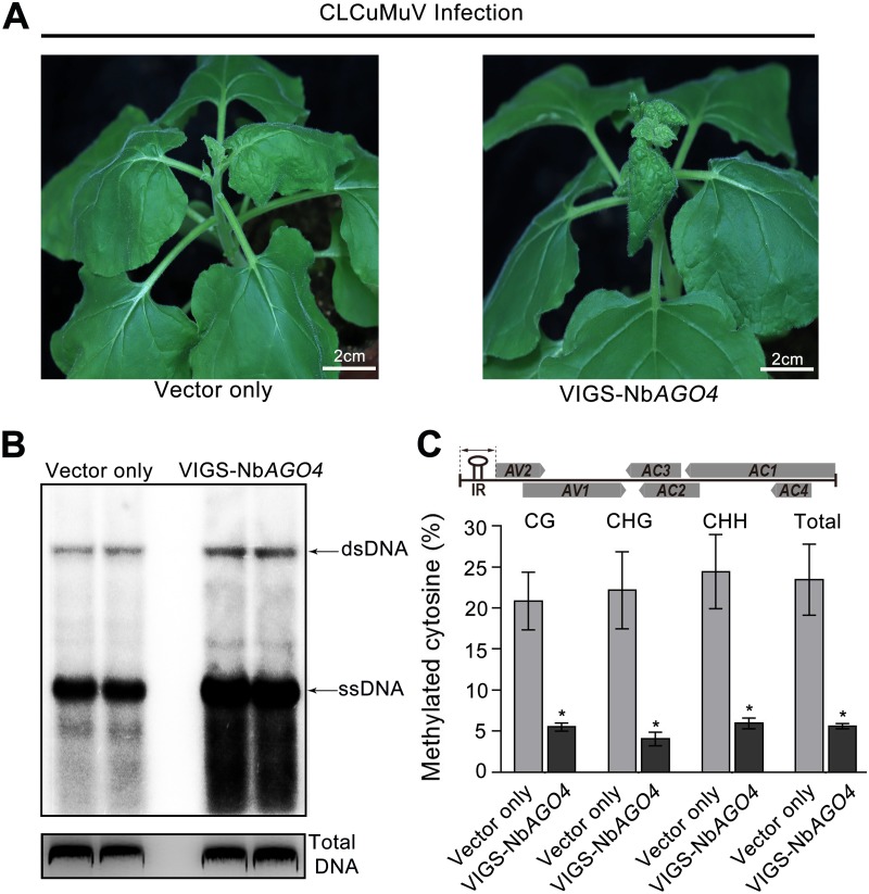 FIG 6