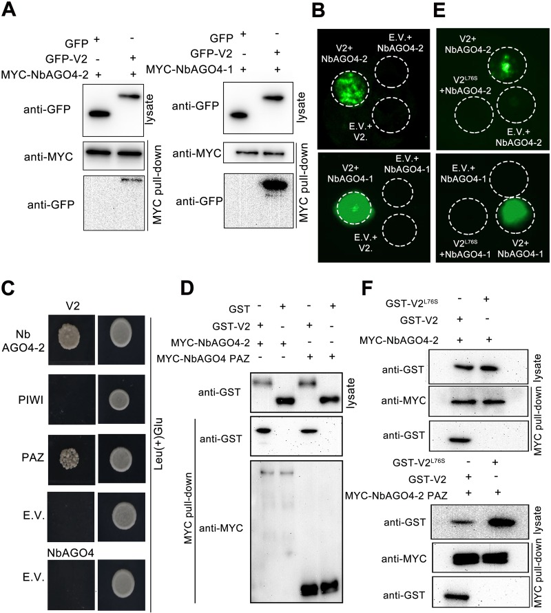 FIG 3