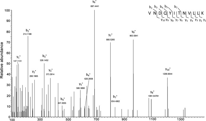 FIG 1