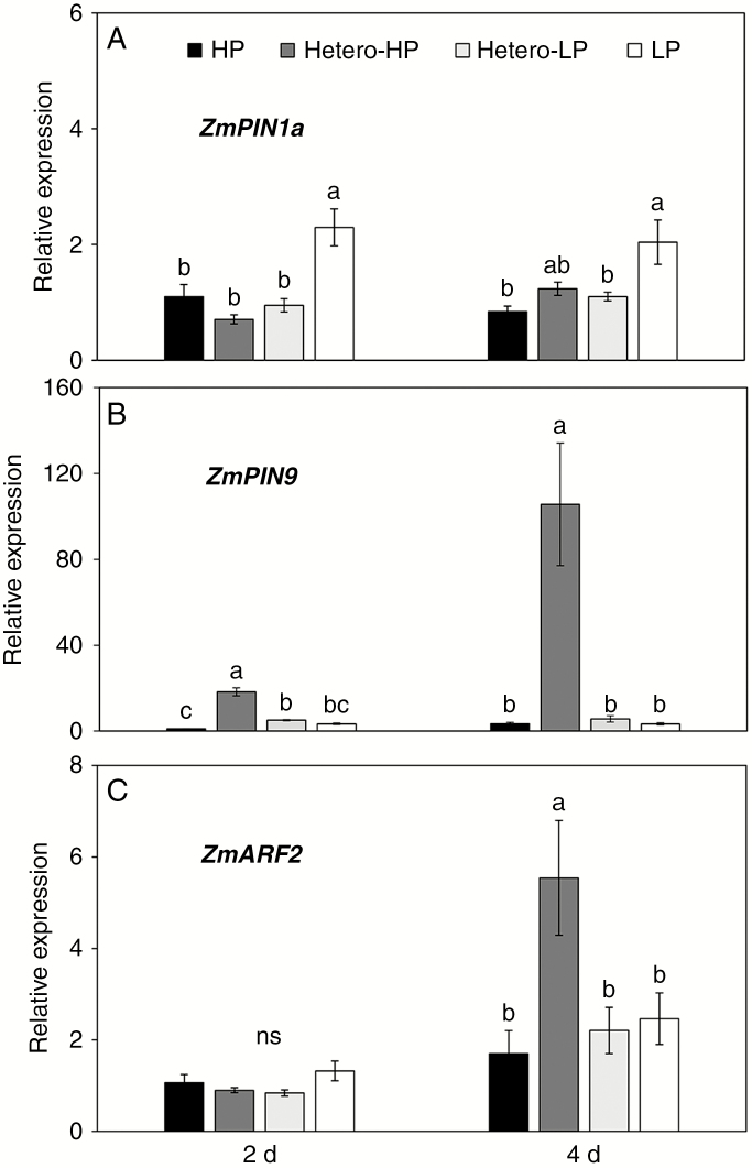 Fig. 8.