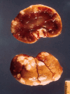 Fig 3.