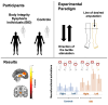 Graphical Abstract