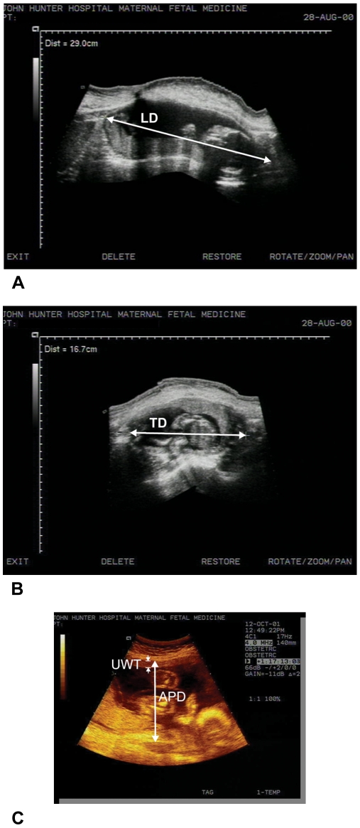 Figure 2