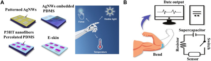 FIGURE 3