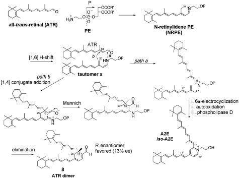 Fig. 10.