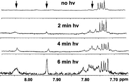 Fig. 9.