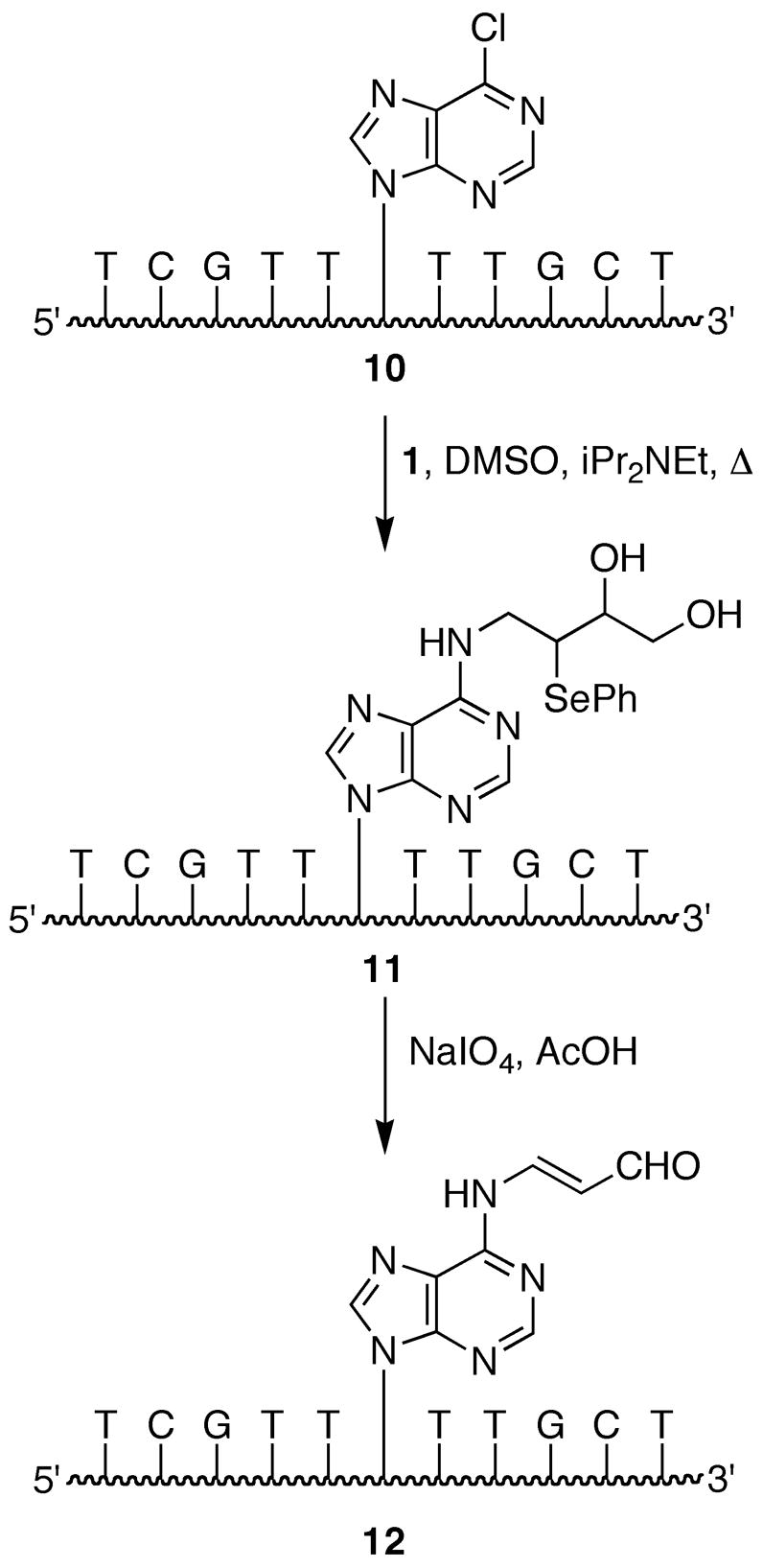 Scheme 3