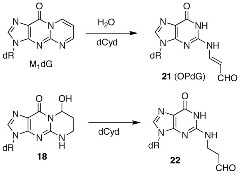 Scheme 4